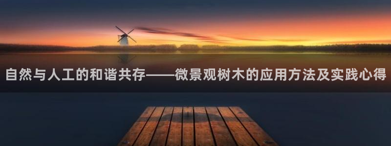 摩根娱乐宝教程