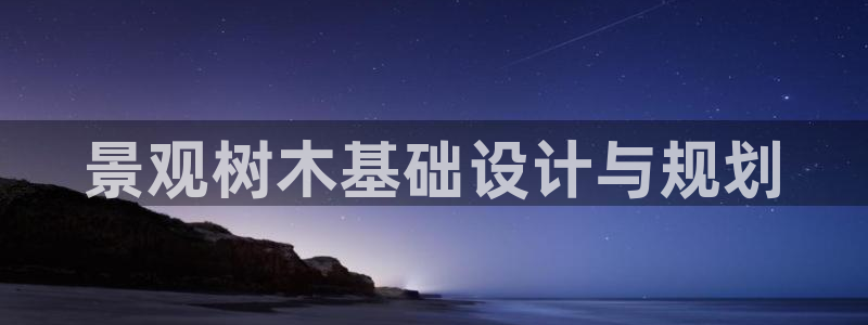 摩根娱乐 总s管50015