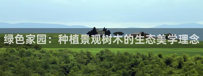 摩根兄弟进军娱乐圈