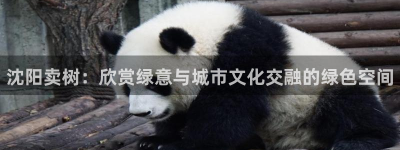 义乌摩根娱乐会所邮箱