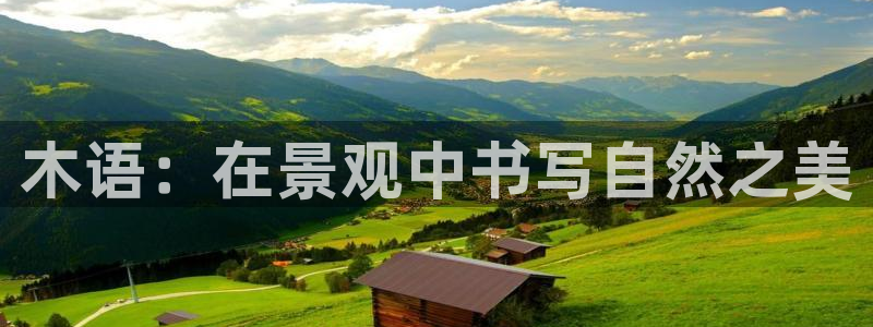 摩根娱乐公会创始人