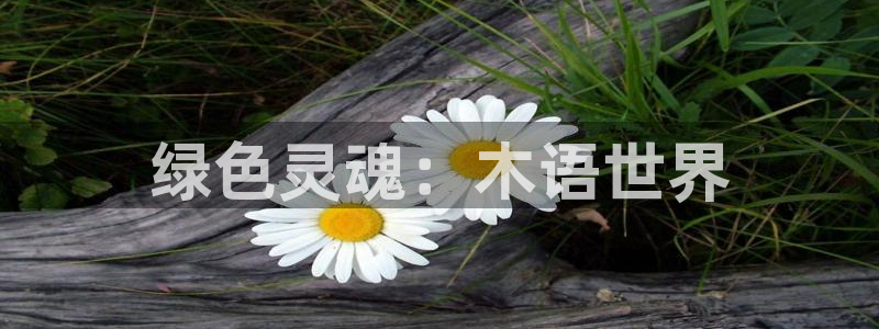 摩根娱乐宝怎么样