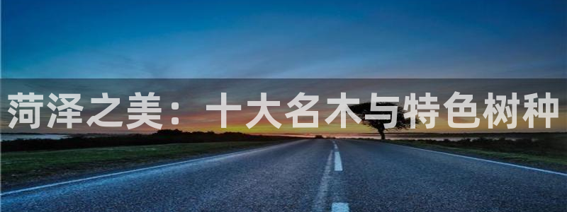 摩根会娱乐有限公司