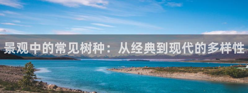 摩根娱乐宝创始人