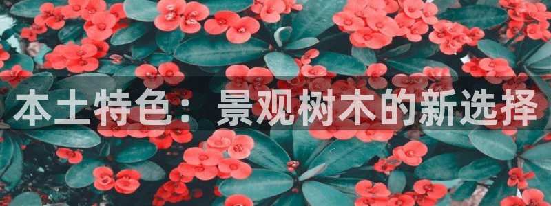 摩根空间附近休闲娱乐