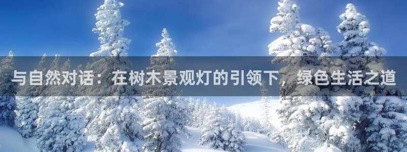 摩根娱乐开户总s管50015 15