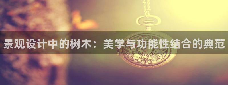 摩根 娱乐宝诈骗