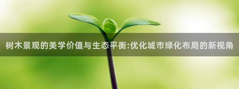 摩根娱乐宝合法吗