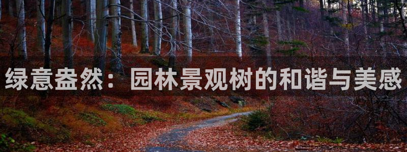 摩根国际娱乐宝进不去