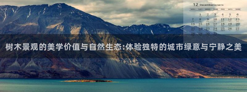 摩根士丹利娱乐