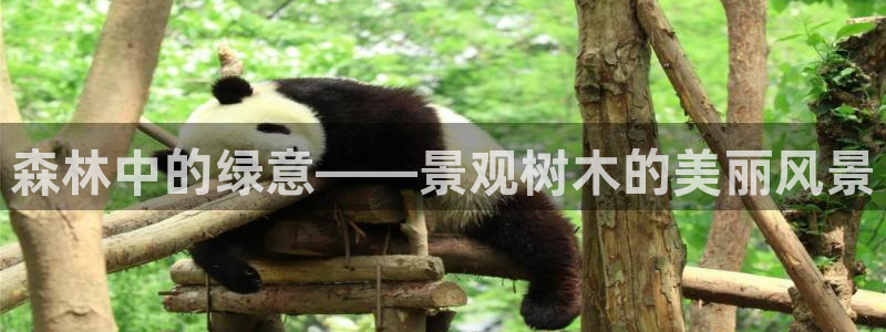 武汉摩根众睿娱乐