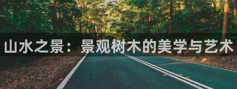 摩根娱乐宝官网