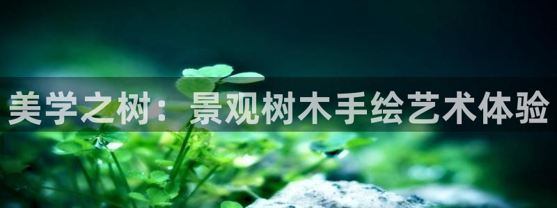 芜湖摩根一百有哪些娱乐