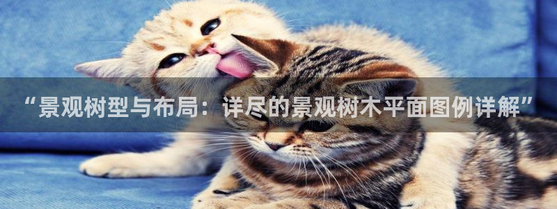 摩根娱乐会所门头