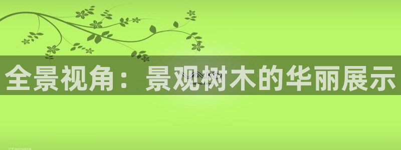 摩根娱乐云挂机项目