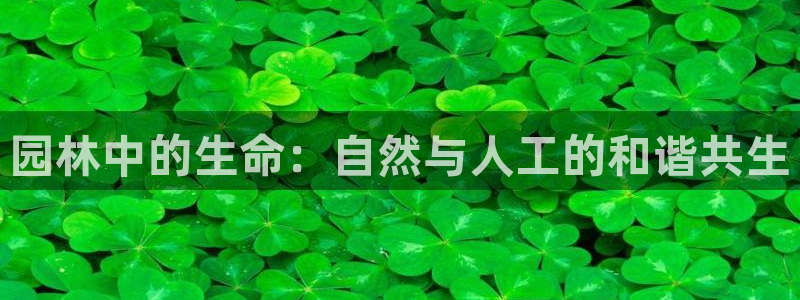 泉州摩根会娱乐有限责任公司管理