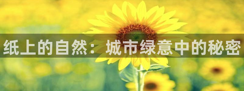 摩根娱乐宝真的假的