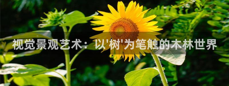 芜湖摩根一百有哪些娱乐