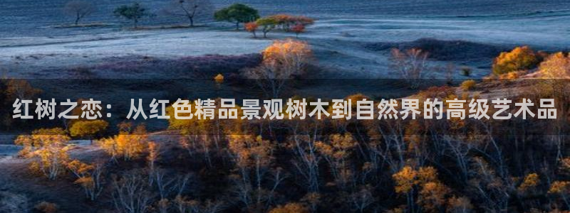 摩根娱乐黑别人网站