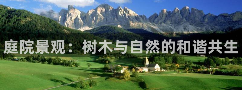 摩根娱乐宝如何提现