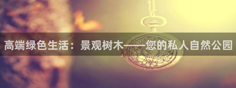 摩根娱乐宝是什么东西