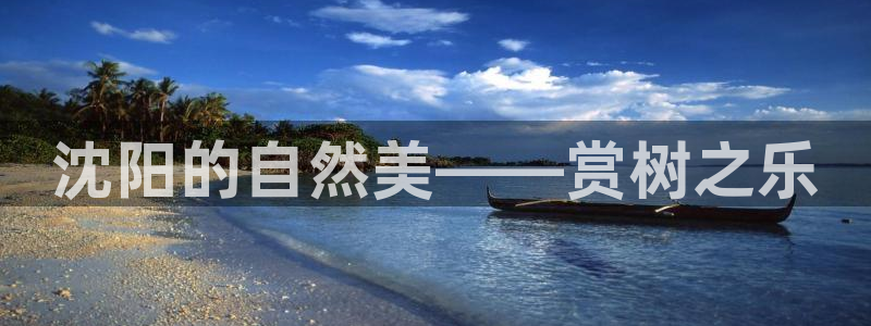 摩根娱乐挂机项目有哪些