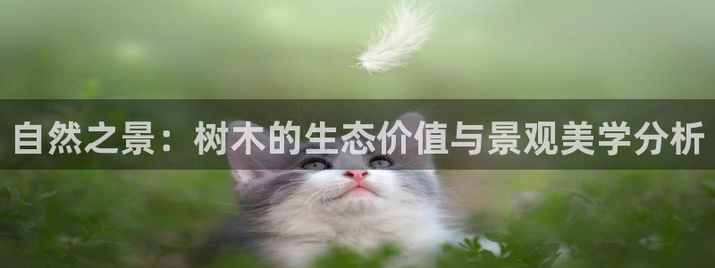 摩根娱乐平台黑