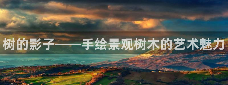 华视娱乐 摩根 王琛