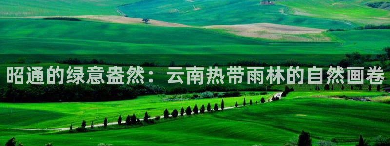 摩根合约娱乐宝