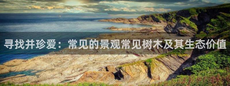 泉州摩根娱乐会所地址