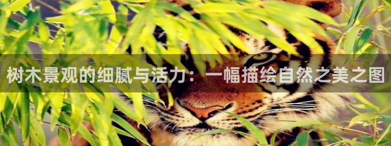 摩根国际娱乐会所电话