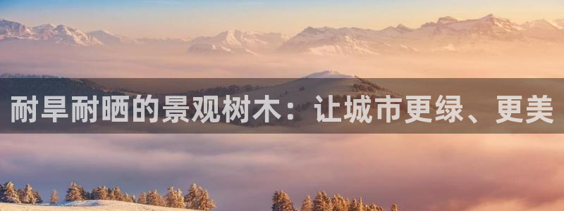 泉州摩根会娱乐场所