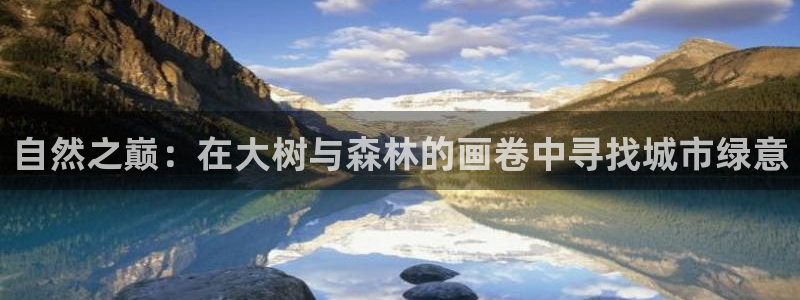 福建泉州白宫摩根会娱乐