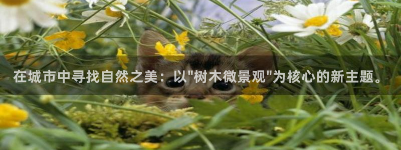 泉州摩根娱乐会所电话