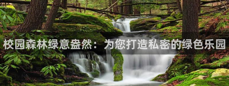 摩根娱乐宝是真的吗:校园森林绿意盎然:为您打造私密的绿色乐园