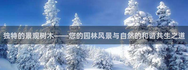 奥飞娱乐摩根调研