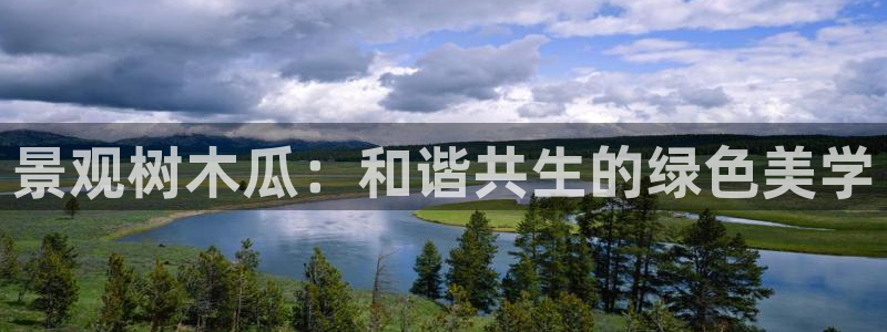 义乌摩根娱乐会所收费:景观树木瓜:和谐共生的绿色美学