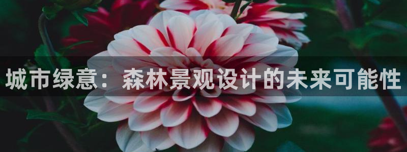 摩根娱乐宝可信吗