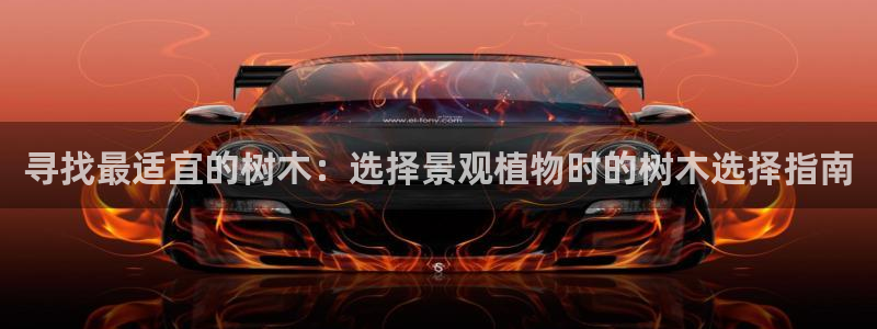 摩根时代资阳娱乐场所:寻找最适宜的树木:选择景观植物时的树木选择指南