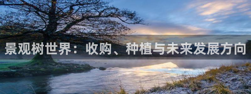 摩根娱乐宝平台:景观树世界:收购、种植与未来发展方向