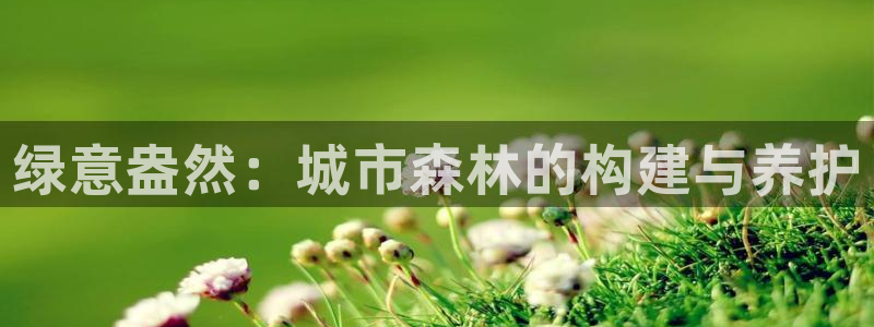 摩根娱乐宝账户:绿意盎然:城市森林的构建与养护