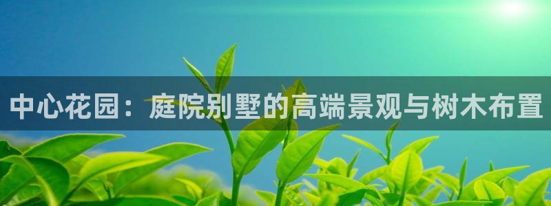 泉州摩根会娱乐