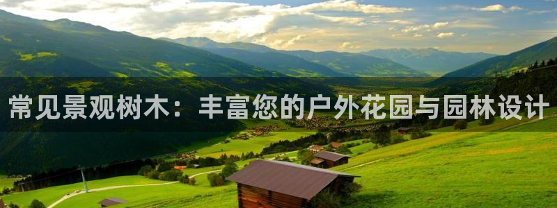 泉州摩根娱乐会所怎么样