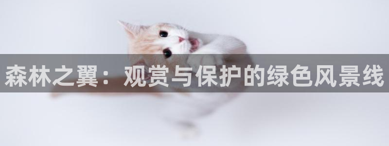 摩根娱乐宝秒单