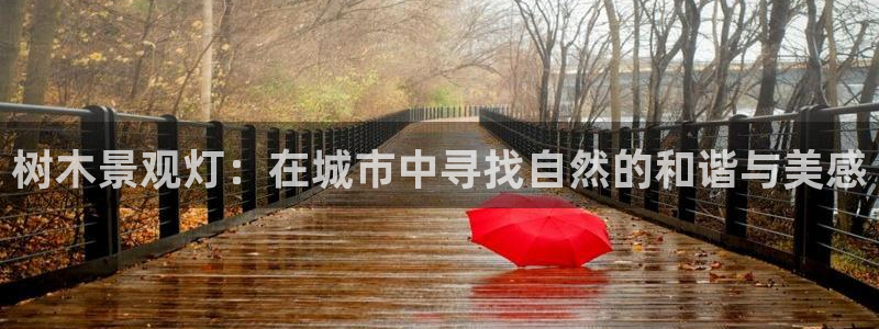 摩根娱乐宝总部:树木景观灯:在城市中寻找自然的和谐与美感