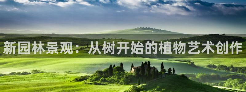 摩根娱乐宝是什么