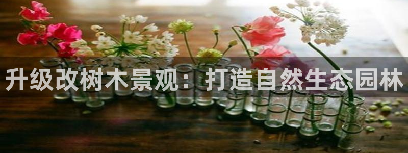 摩根娱乐宝微信客服