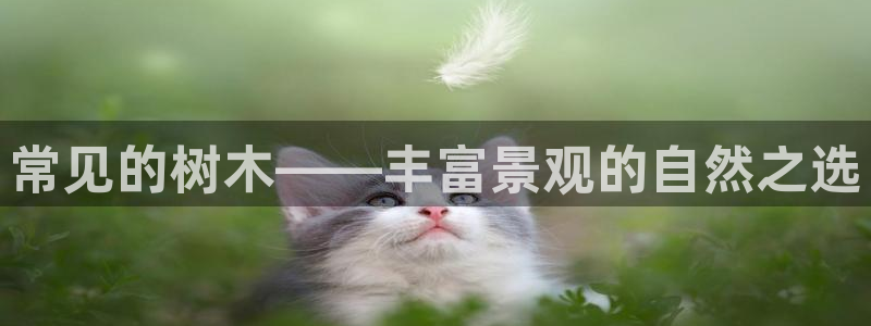 泉州摩根娱乐会所地址:常见的树木——丰富景观的自然之选