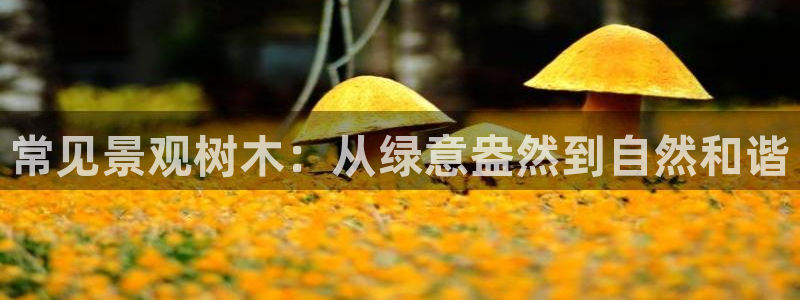 摩根空间附近休闲娱乐