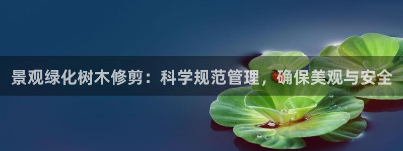 摩根娱乐 1老j板50820